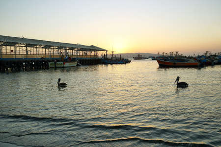 Paracas, Peru - June 15, 2017: Peruvian pelican and boats in Paracas pier at sunset in Paracas, Ica, Peruのeditorial素材