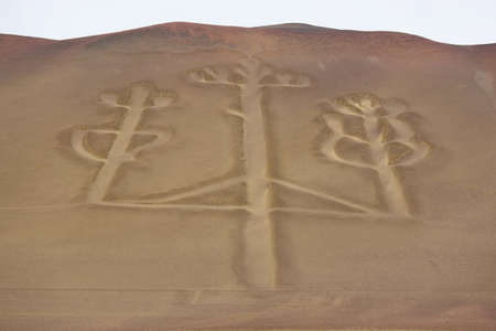 Ancient large-scale geoglyph Candelabrum figure in Paracas national parkの写真素材