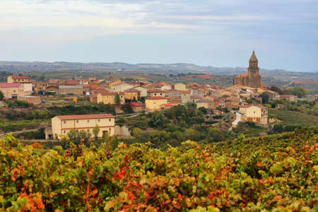 Autumn vineyards near Elvillar village, Alava, Spain