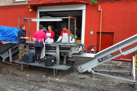 La Rioja, Spain - October 19m 2019: People putting grapes to process on the crusher machine in a...