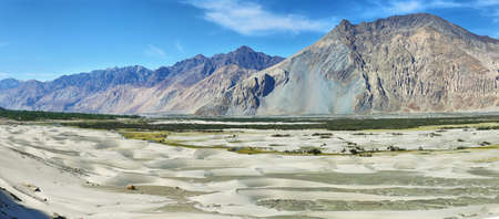Nature landscape of Hunder sand dunes in Himalayas with brown gray mountain background in Nubra...