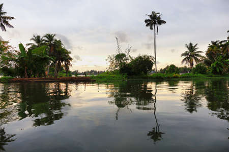 Backwaters in Alappuzha at sunset, sailing in a canoe in Kuttamangalam channel, Alleppey, Kerala,...