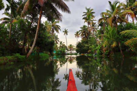 Backwaters in Alappuzha at sunset, sailing in a canoe in Kuttamangalam channel, Alleppey, Kerala,...