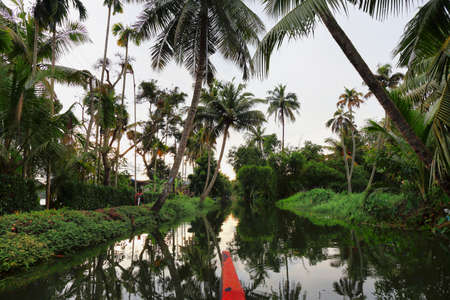 Backwaters in Alappuzha at sunset, sailing in a canoe in Kuttamangalam channel, Alleppey, Kerala, India.のeditorial素材