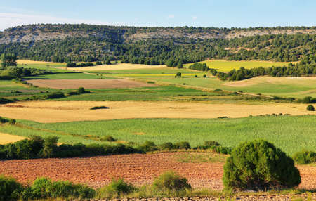 Coloful fields in summer near Soria, Castile and Leon, Spain