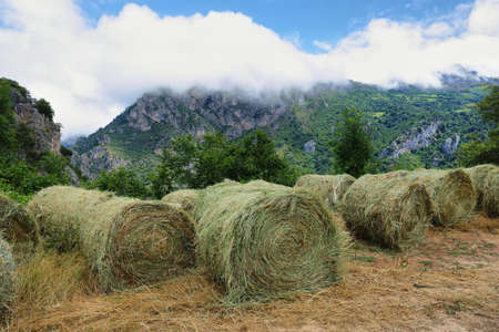 Straw balls in Somiedo nature reserve, Asturias, Spainの写真素材