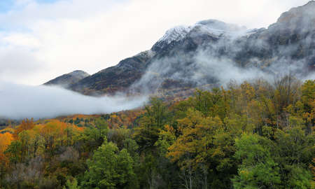 Autumn colors in the forest surrounding Bubal lake in Tena Valley in a foggy day, Aragonese...
