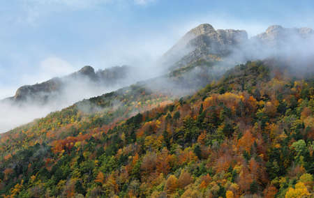Autumn colors in the forest surrounding Bubal lake in Tena Valley in a foggy day, Aragonese...