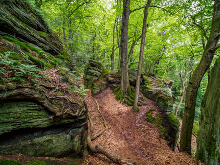 Impressive rock formation in Berdorf forest, Luxembourgの写真素材