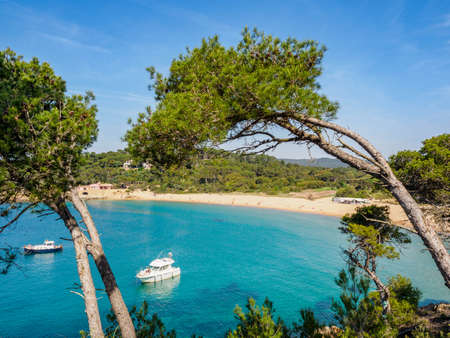 View of La Fosca beach in Palamos, Costa Brava, Catalonia, Spainの写真素材