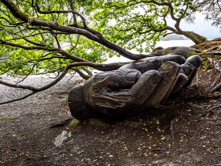 Hands carved from wood, Brandelhow Park, near Catbells walk in Keswick, Lake District, England, United Kingdomの写真素材