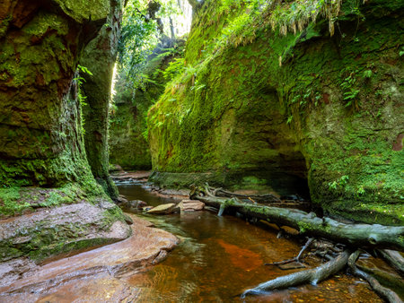 The Devil's pulpit in Finnich, Scotland, United Kingdomの写真素材