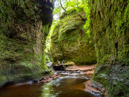 The Devil's pulpit in Finnich, Scotland, United Kingdomの写真素材
