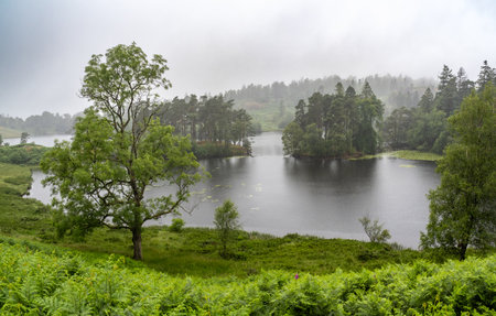 Tarn Hows lake in Lake district, England, United Kingdomの写真素材