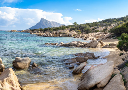 Way to Delle Vacche beach near San Teodoro, Sardinia island, Italyの写真素材