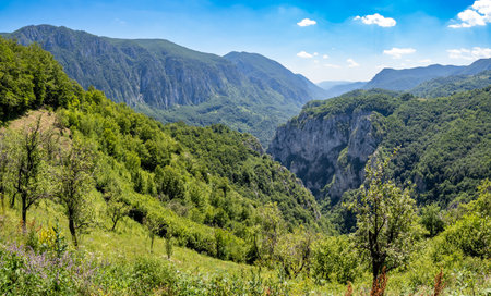 cheile rushinei in Demogled Valea Cernei national park, Romaniaの写真素材