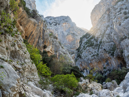 Gorropu gorge in Sardinia island, Italy, Europeの写真素材