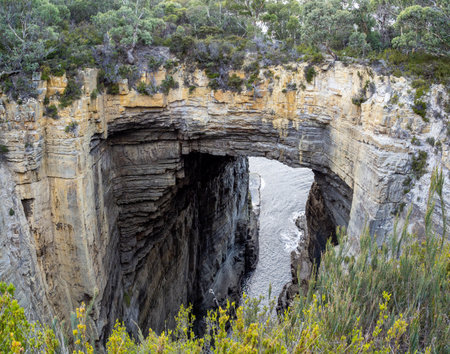 Tasman Arch, national park, Australia