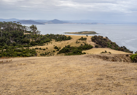 Moorland around fossil cliffs in Maria island, Tasmania, Australiaの写真素材