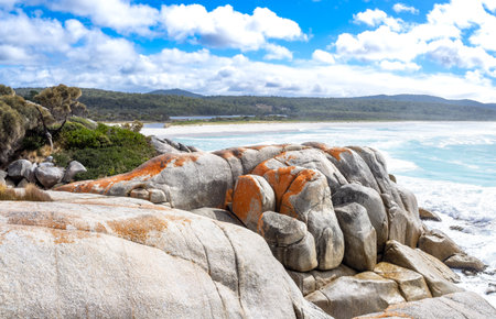 Bay of fires conservation area in Tasmania, Australiaの写真素材