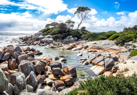 Bay of fires conservation area in Tasmania, Australiaの写真素材