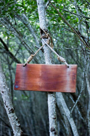 Blank space of wood plank for messagesの写真素材