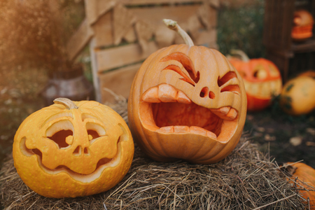 Ghost pumpkins on Halloween. ead Jack on an autumn background. Holiday outdoor decorations.の写真素材