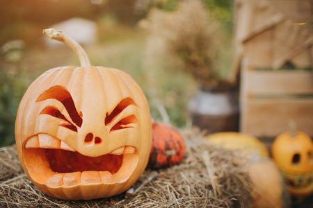Ghost pumpkins on Halloween. ead Jack on an autumn background. Holiday outdoor decorations.の写真素材