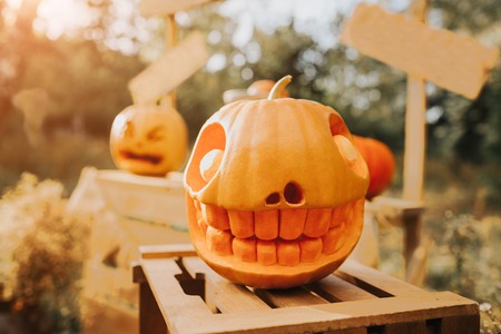 Ghost pumpkins on Halloween. head Jack on an autumn background. Holiday outdoor decorationsの写真素材