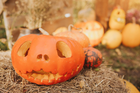 Ghost pumpkins on Halloween. head Jack on an autumn background. Holiday outdoor decorationsの写真素材