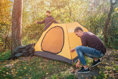 Picture of two young men in forest putting tent. One guy works with ropes. Another stand behind tent. They work together.の写真素材