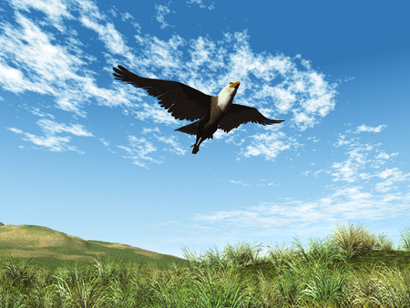 3d illustration of a flying eagleの写真素材