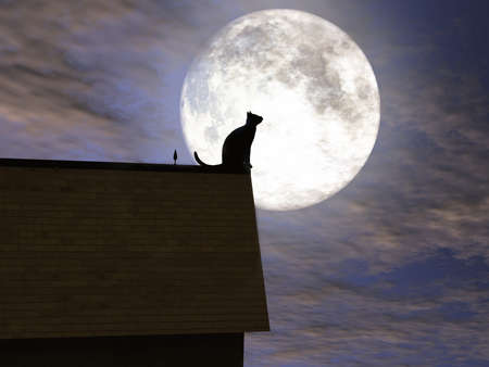Cat on a roof with the moon in the backgroundの写真素材
