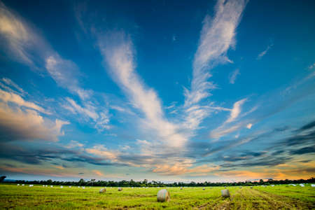 Beautiful landscape, the sunset over a hayfield, Brazilian Pantanal