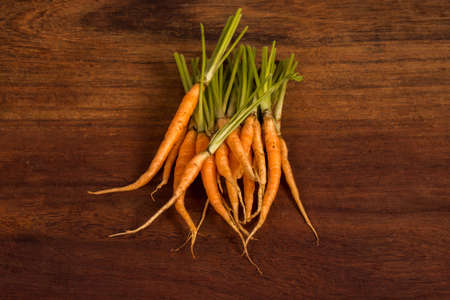 organic and fresh carrot on a wooden background.