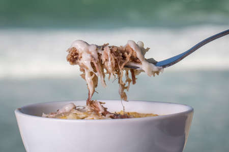 Hand holding a fork with
gratin of dried meat, cassava and cheese that is a traditional Brazilian food called Escondidinho de Carne Seca. The bottom of the image is the sea.の写真素材