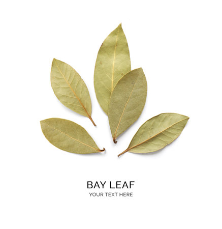 Bay leaves isolated on white background. Flat lay, top view.