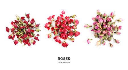 Creative layout made of roses isolated on white background. Flat lay. Food concept.の写真素材