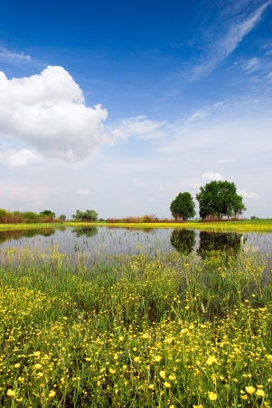  Beautiful spring meadow and small lakeの写真素材