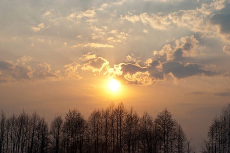 Sunset in April, Kiev region, Ukraineの写真素材