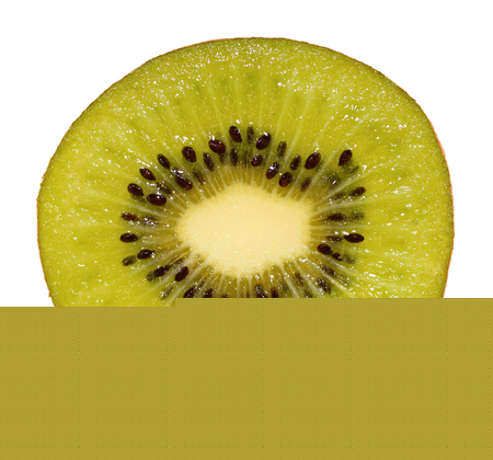 Slice of kiwi fruit isolated on white macroの写真素材