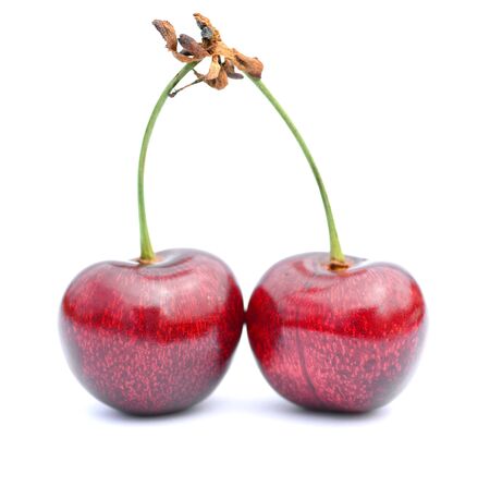 Two cherries isolated on a white backgroundの写真素材