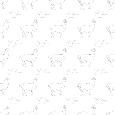 Lama seamless pattern. A beautiful realistic hand drawn sketch of alpaca or lama. Concept for background or printのイラスト素材