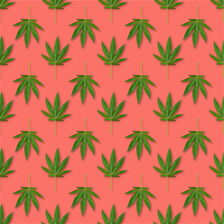Hemp or cannabis leaves seamless pattern. Close up of fresh Cannabis leaves on pink backgroundの写真素材