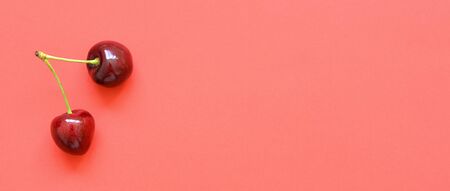 Big sweet cherry on a bright coral background. Sweet cherries close up. Summer flat lay berry background. Top view.の写真素材