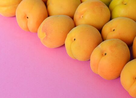 Apricot on a pink background, arranged on top right corner, with copy space. Top view, close up.の写真素材