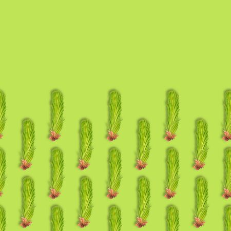 Young spruce branch isolated on green. Fir tree branch seamless pattern. Copy space.