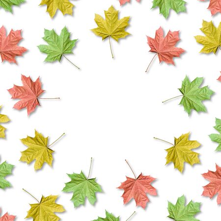 Colorful Maple leaves organized in round frame with copy space. Fall background.