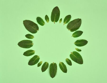 Floral round frame with ?int leaves isolated on mint background. Set of peppermint leaves. Flat lay....