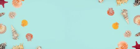 Sea pattern, top view, flat lay. Summer concept. Different sea shells and starfish pattern on light blue background. Long banner with copy space.の写真素材